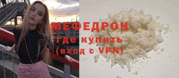 индика Весьегонск