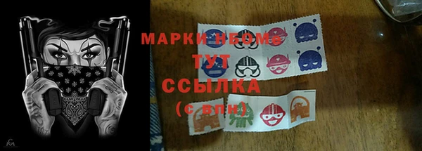 индика Весьегонск