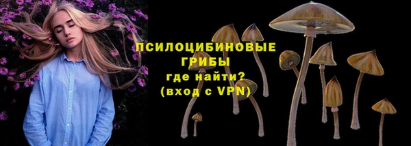 хмурый Волоколамск