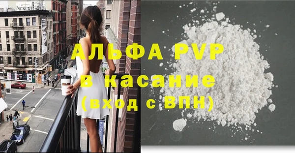 индика Весьегонск