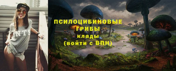 хмурый Волоколамск