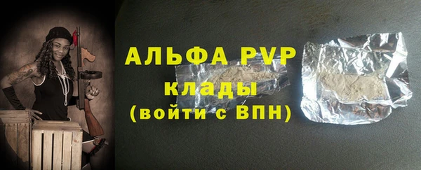 индика Весьегонск