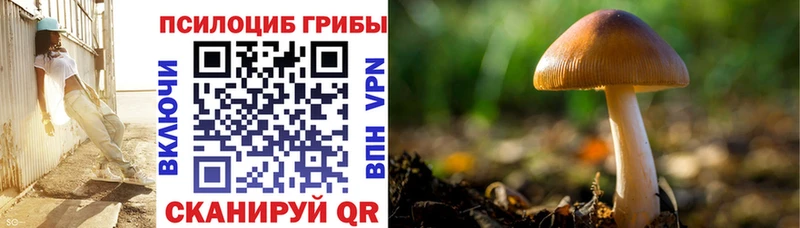Псилоцибиновые грибы GOLDEN TEACHER kraken зеркало Вятские Поляны купить наркотики сайты