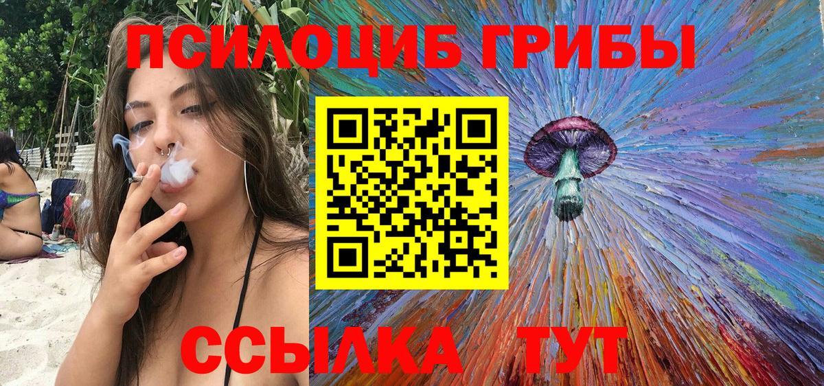 Вятские Поляны  Галлюциногенные грибы мухоморы  Вход с VPN 